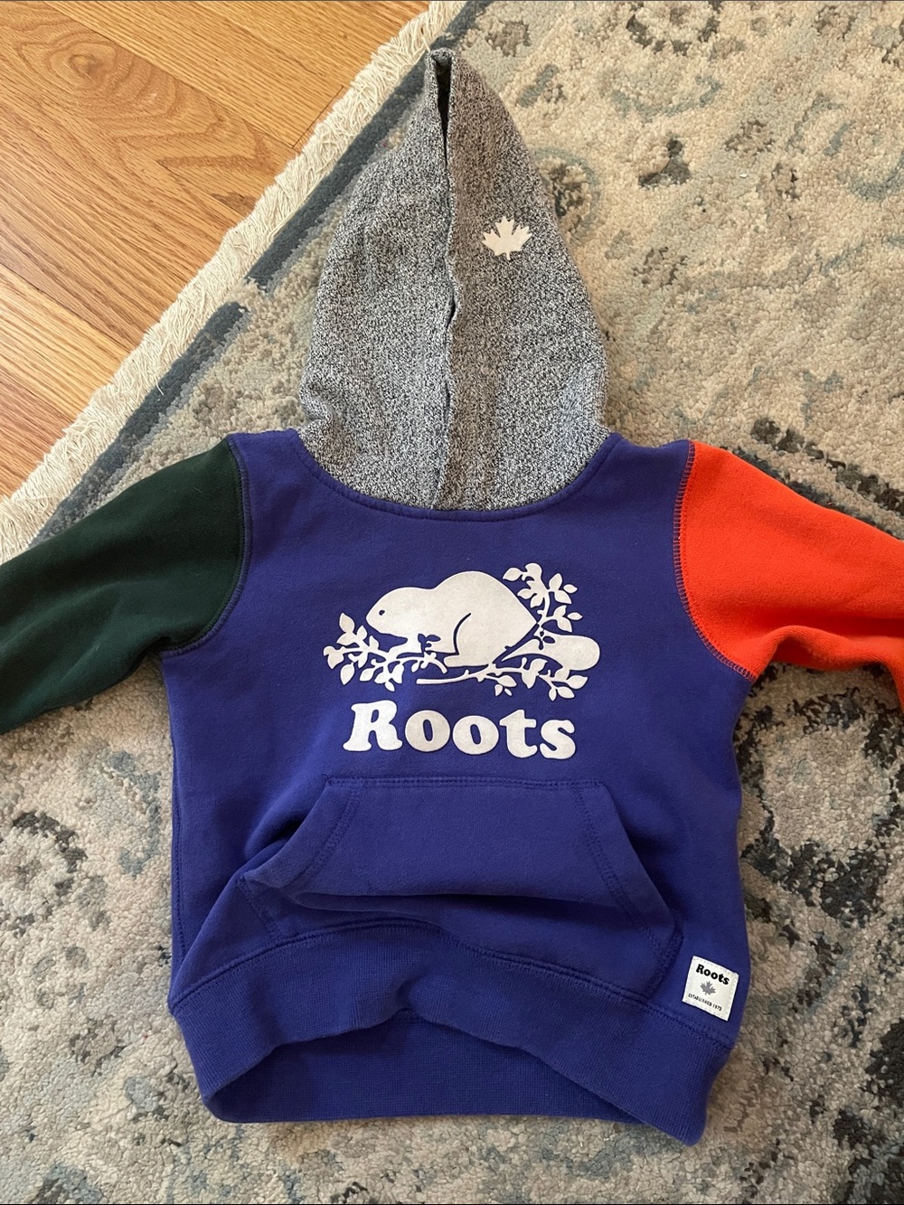 Roots Kids Colorblock Hoodie in Purple, Green & Orange